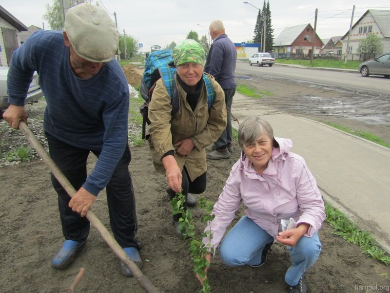 «Аллея добра» во Власихе приросла новыми саженцами