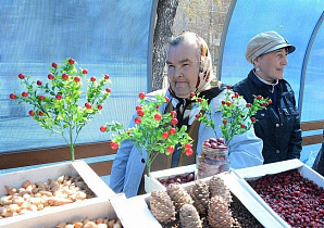 Городские проекты: Забота о старшем поколении